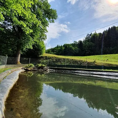 Vakantiehuis Nad Stawami *