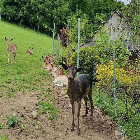 Holiday home Nad Stawami