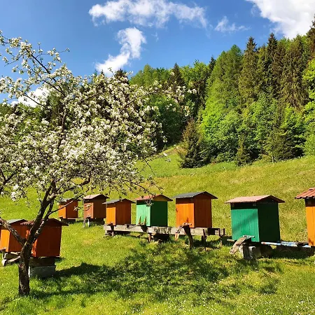 Nyaraló Nad Stawami *