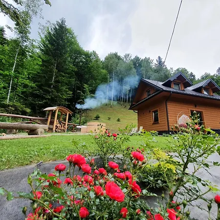 Nad Stawami 別荘 Ochotnica Dolna